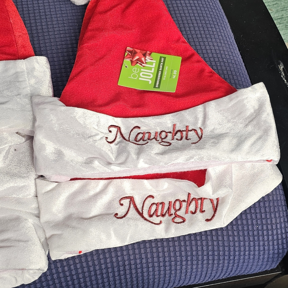 Red and White Santa Hat